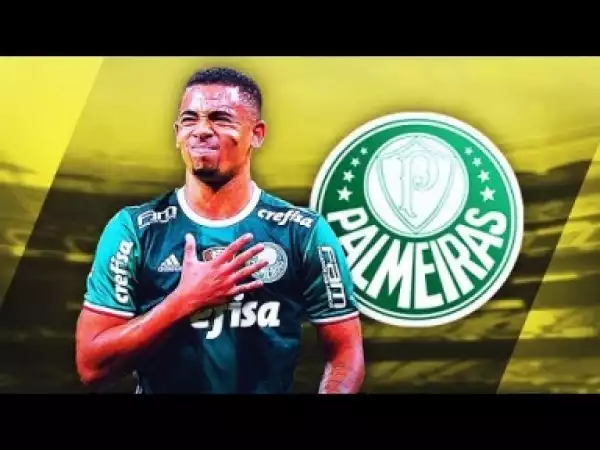 Video: GABRIEL JESUS | Goals, Skills, Assists | Palmeiras | 2016 (HD)